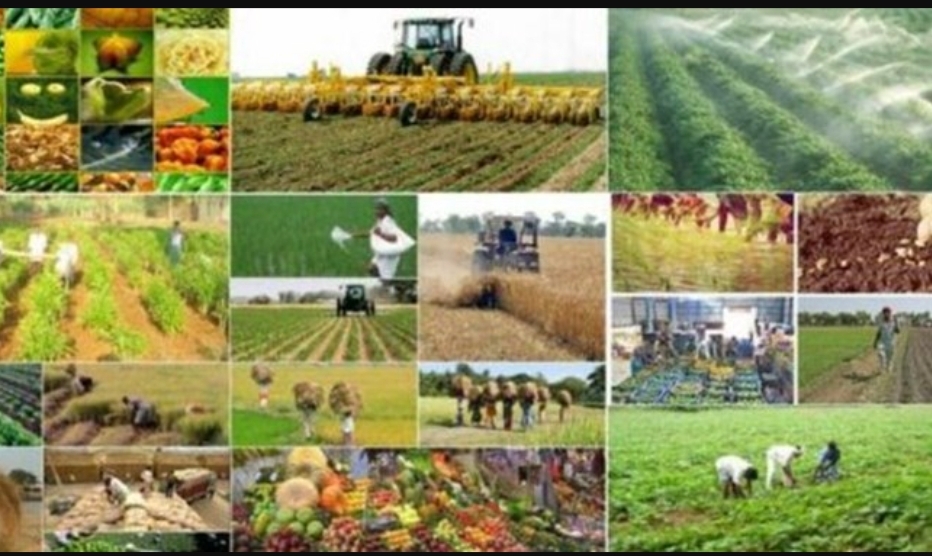 افزایش ۴۴ درصدی اعتبارات تملک دارایی‌های سرمایه‌ای جهاد کشاورزی همدان