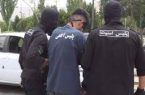 دستگیری عامل ایجاد رعب و وحشت در بلوار ارم همدان