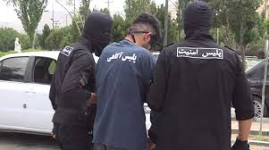 دستگیری عامل ایجاد رعب و وحشت در بلوار ارم همدان