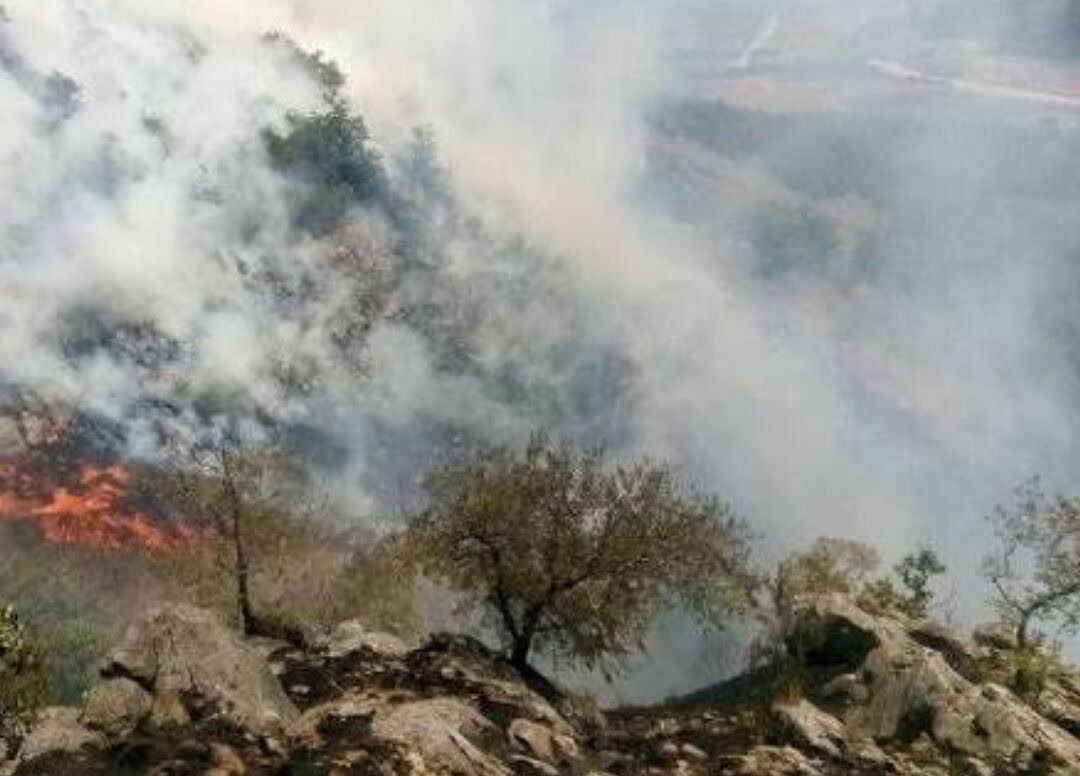 📣 آتش سوزی مراتع جنگلی گیلانغرب مهار شد