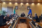 بررسی مشکلات فرش دستباف همدان در نشست تخصصی معاون بازرگانی صمت با فعالان این هنر صنعت